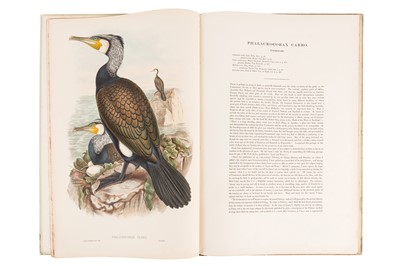 Lot 198 - JOHN GOULD (BRITISH, 1804-1881) BIRDS OF GREAT BRITAIN. 25 ORIGINAL PARTS
