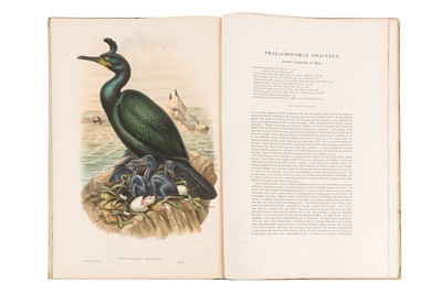 Lot 198 - JOHN GOULD (BRITISH, 1804-1881) BIRDS OF GREAT BRITAIN. 25 ORIGINAL PARTS