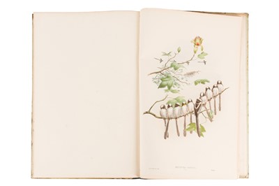 Lot 198 - JOHN GOULD (BRITISH, 1804-1881) BIRDS OF GREAT BRITAIN. 25 ORIGINAL PARTS