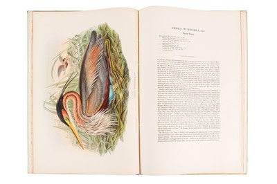 Lot 198 - JOHN GOULD (BRITISH, 1804-1881) BIRDS OF GREAT BRITAIN. 25 ORIGINAL PARTS