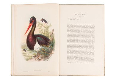 Lot 198 - JOHN GOULD (BRITISH, 1804-1881) BIRDS OF GREAT BRITAIN. 25 ORIGINAL PARTS
