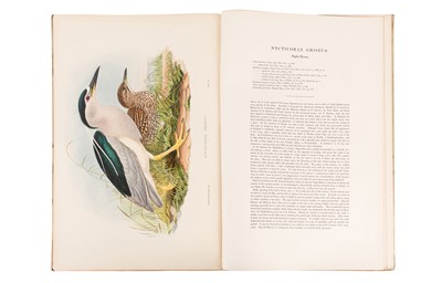 Lot 198 - JOHN GOULD (BRITISH, 1804-1881) BIRDS OF GREAT BRITAIN. 25 ORIGINAL PARTS