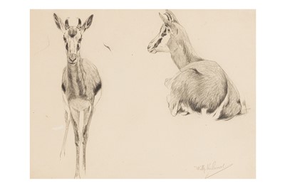 Lot 105 - WILHELM KUHNERT (GERMAN, 1865-1926)