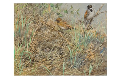 Lot 200 - GEORGE EDWARD LODGE (BRITISH, 1860-1959)