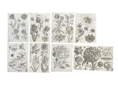 Lot 37 - WENCESLAUS HOLLAR (BOHEMIAN 1607–1677), FALCK & DE WIT