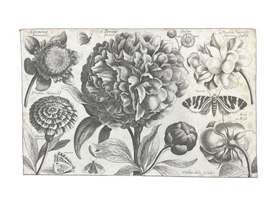Lot 37 - WENCESLAUS HOLLAR (BOHEMIAN 1607–1677), FALCK & DE WIT