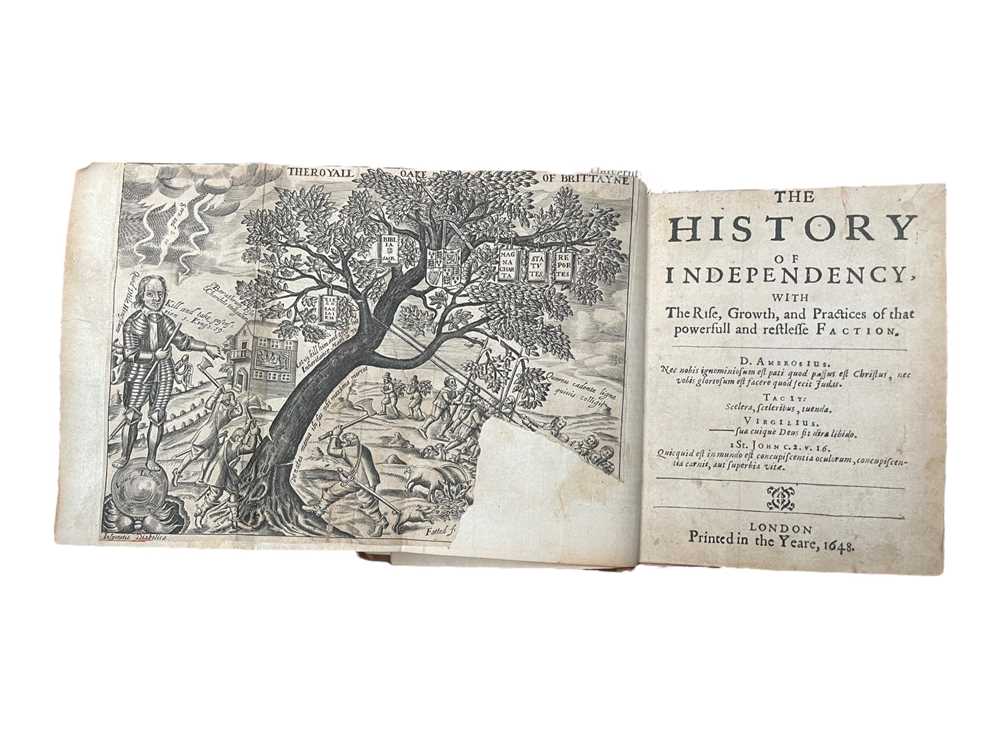 Lot 26 - History and politics, A collection of 23 volumes, including: Verax (Theodorus) [Clement Walker]