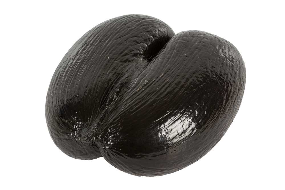 Lot 26 - A COCO DE MER NUT (LODOICEA MALDIVICA)