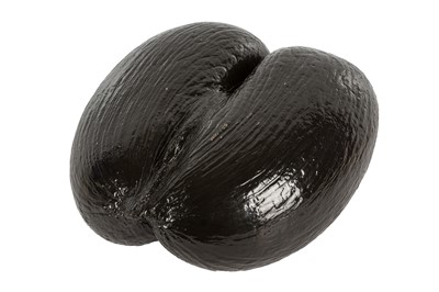 Lot 26 - A COCO DE MER NUT (LODOICEA MALDIVICA)