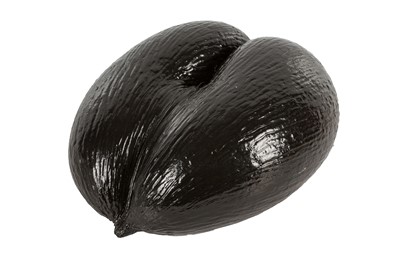 Lot 26 - A COCO DE MER NUT (LODOICEA MALDIVICA)