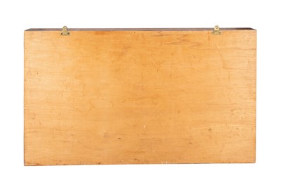 Lot 179 - A VICTORIAN SHELL COLLECTION IN ITS DISPLAY CASE