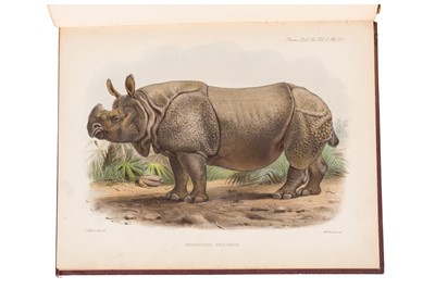 Lot 100 - PHILIP LUTLEY SCLATER, 'ON THE RHINOCEROSES… ' 1877