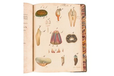 Lot 178 - SAMUEL BROOKES, AN INTRODUCTION TO THE STUDY OF CONCHOLOGY, 1815