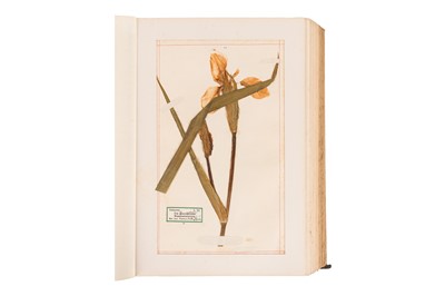 Lot 43 - VICTORIAN PRESSED FLOWER ALBUM [1893-94]