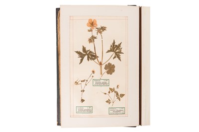 Lot 43 - VICTORIAN PRESSED FLOWER ALBUM [1893-94]