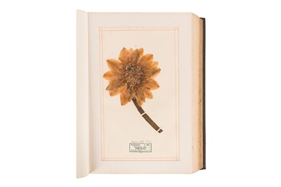 Lot 43 - VICTORIAN PRESSED FLOWER ALBUM [1893-94]