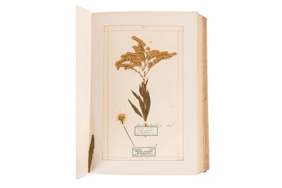 Lot 43 - VICTORIAN PRESSED FLOWER ALBUM [1893-94]