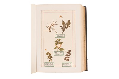 Lot 43 - VICTORIAN PRESSED FLOWER ALBUM [1893-94]