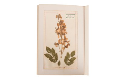 Lot 43 - VICTORIAN PRESSED FLOWER ALBUM [1893-94]