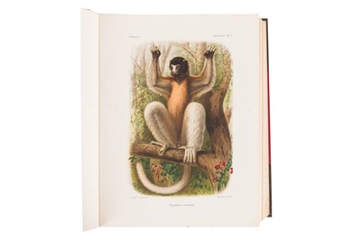 Lot 111 - ALPHONSE MILNE-EDWARDS, ET AL. HISTOIRE NATURELLE DES MAMMIFERES [LEMURS] 1875