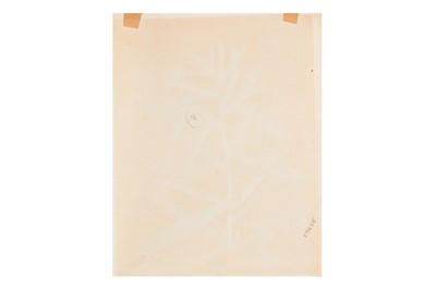 Lot 41 - AUSTRALIAN SCHOOL (C. 1797)