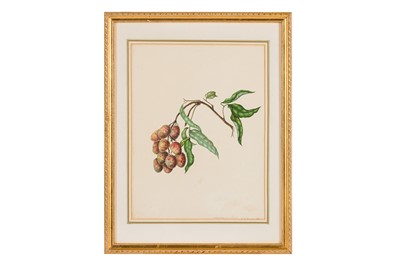 Lot 42 - ELIZABETH ANN BRISCOE (1780-1842)