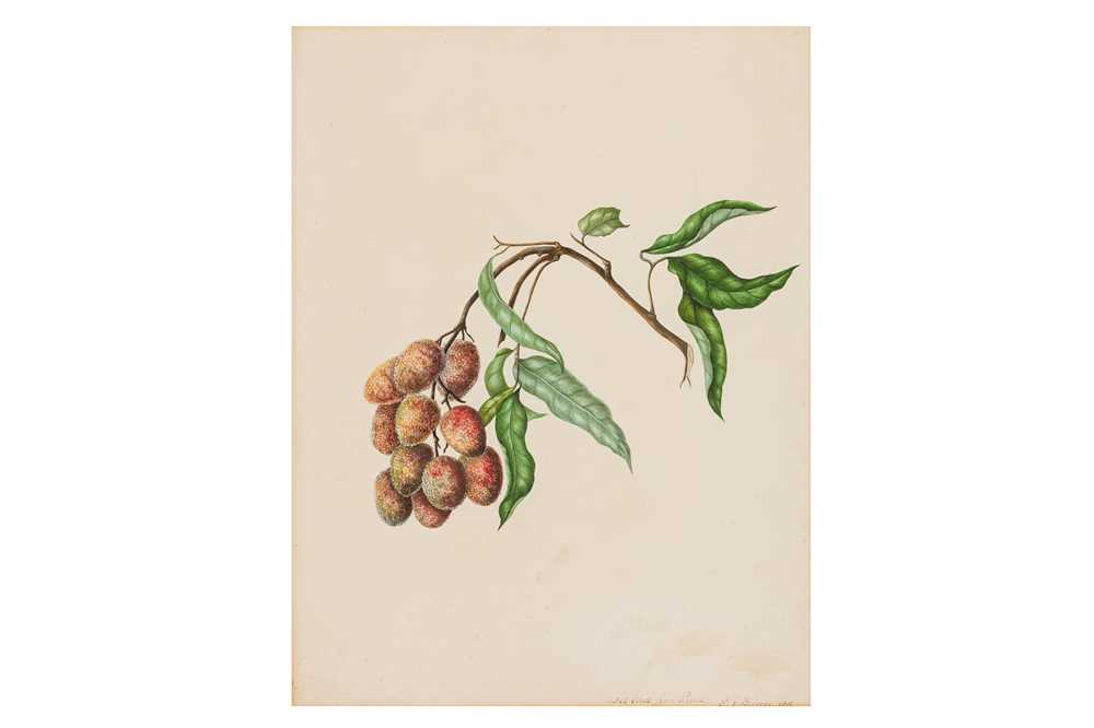 Lot 42 - ELIZABETH ANN BRISCOE (1780-1842)