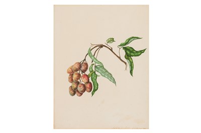 Lot 42 - ELIZABETH ANN BRISCOE (1780-1842)