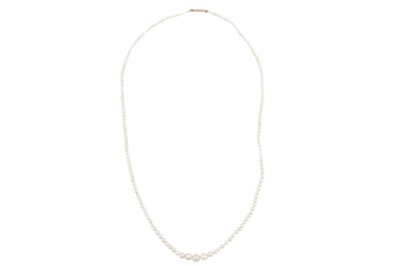 Lot 53 - A pearl necklace