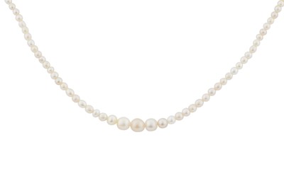 Lot 53 - A pearl necklace