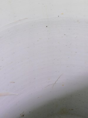 Lot 41 - A very large Chinese powder-blue gilt-decorated jar and cover, Qing dynasty, Kangxi period