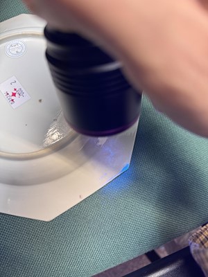 Lot 52 - A pair of fine Chinese export octagonal 'lady and child' dishes, Qing dynasty, Yongzheng period