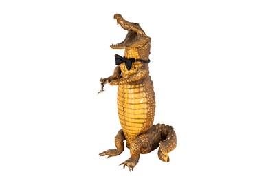 Lot 187 - TAXIDERMY, A CROCODILE (CROCODYLIDAE) 'DUMB WAITER'