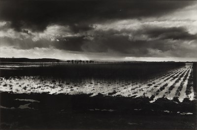 Lot 117 - Don McCullin (b.1935)