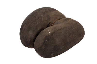 Lot 191 - A COCO DE MER NUT (LODOICEA MALDIVICA)