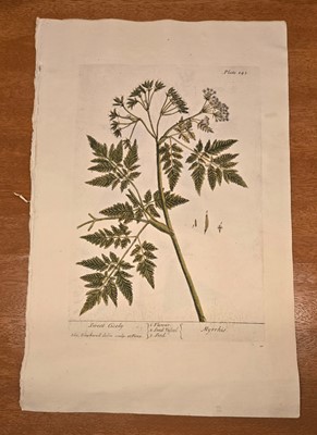 Lot 40 - ELIZABETH BLACKWELL. A CURIOUS HERBAL - 12 PLATES ONLY. 1737