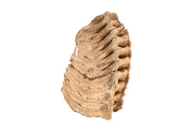 Lot 118 - A FOSSILISED ELEPHANT (PALAEOLOXODON NAMADICUS) TOOTH