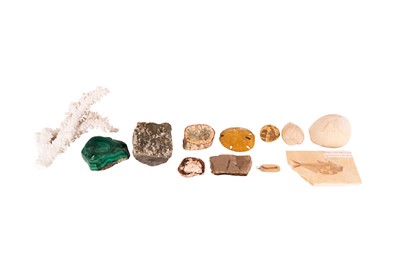 Lot 197 - A COLLECTION OF FOSSILS, MINERALS AND CORAL