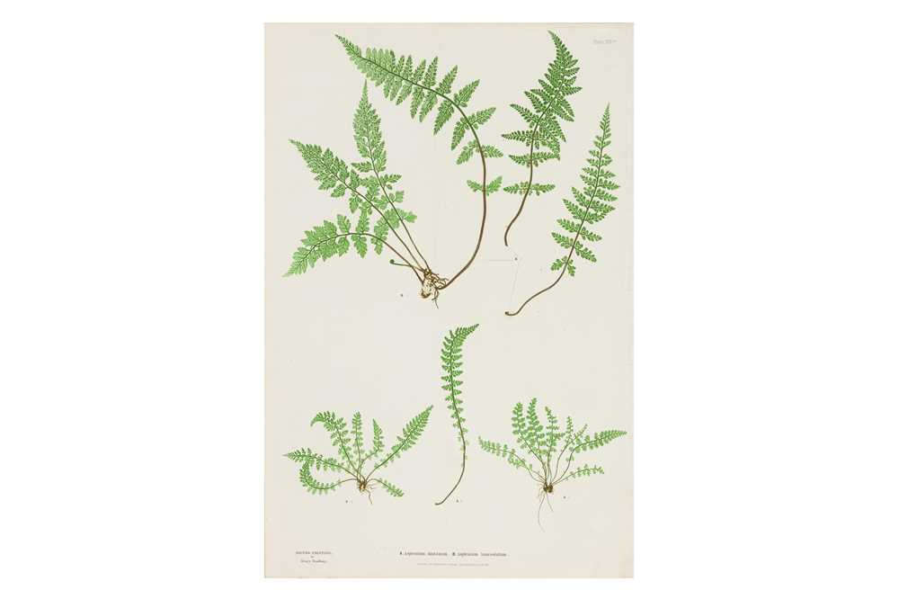 Lot 46 - BRADBURY & EVANS, c.1855 -1856
