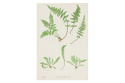 Lot 46 - BRADBURY & EVANS, c.1855 -1856