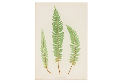 Lot 46 - BRADBURY & EVANS, c.1855 -1856