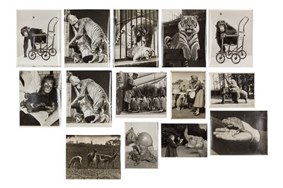 Lot 84 - Various Photographers, c.1960s