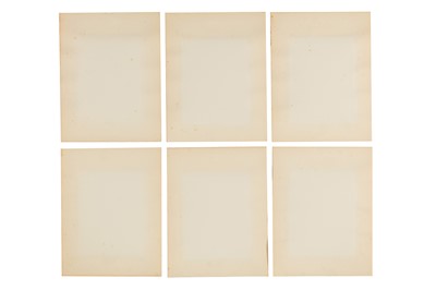 Lot 47 - CYANOTYPE BOTANICAL STUDIES, c.1880