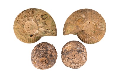 Lot 58 - A SLICED AMMONITE AND SLICED QUARTZ GEODE
