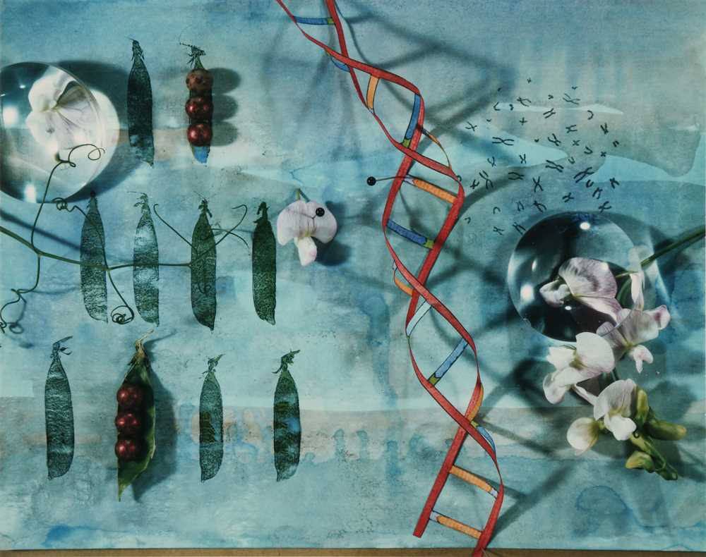 Lot 330 - Olivia Parker (b.1941)