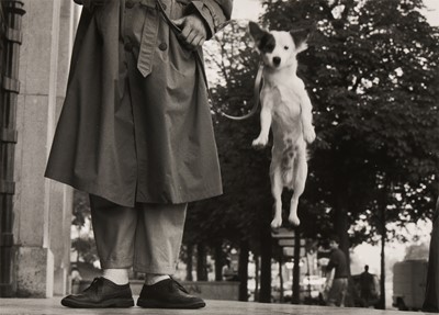 Lot 107 - Elliott Erwitt (b.1928)
