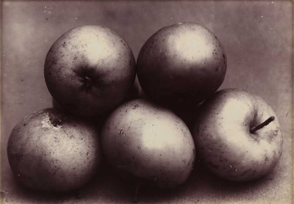 Lot 11 - Charles Jones (1866-1959)