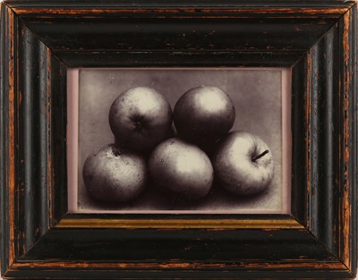 Lot 11 - Charles Jones (1866-1959)