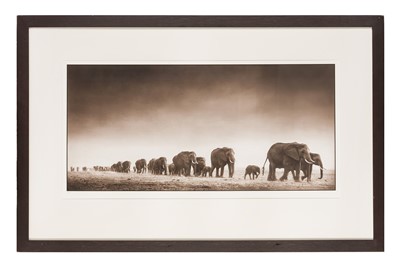 Lot 335 - Nick Brandt (b.1964)