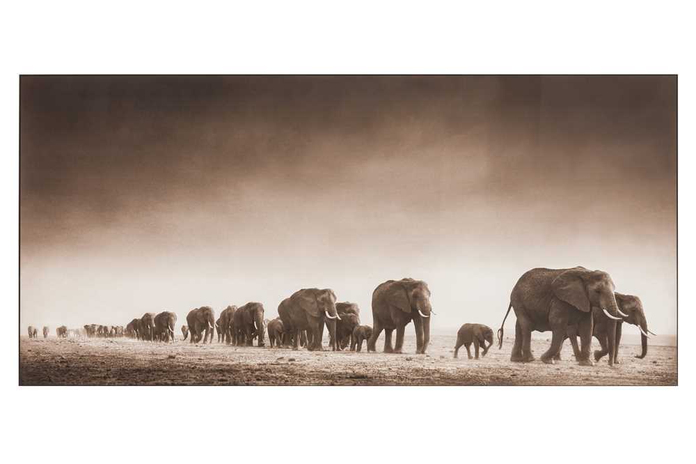 Lot 335 - Nick Brandt (b.1964)
